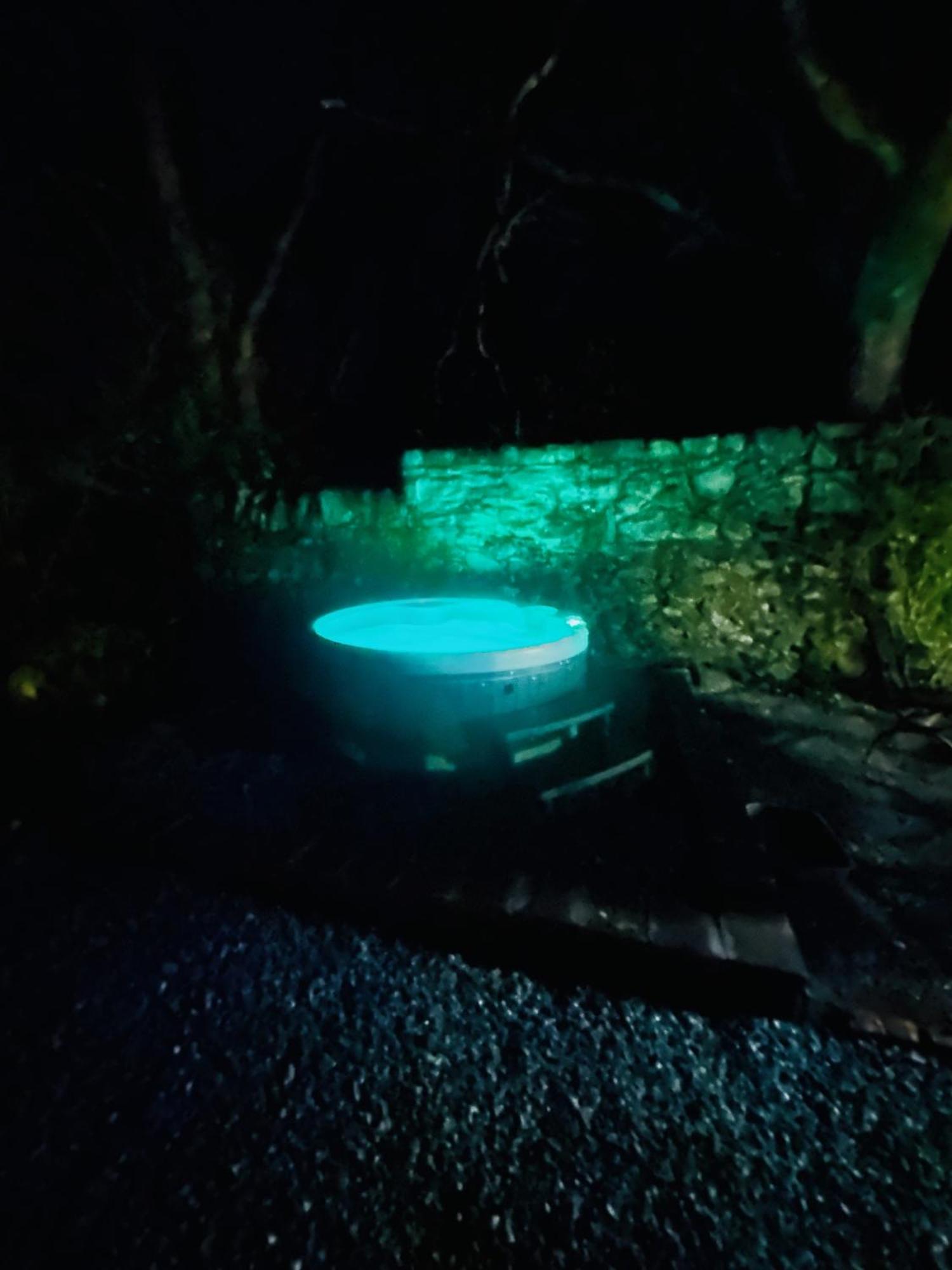 Tiny Romantic Retreat With Hot Tub On A Country Estate Near Cardigan Bay In Eryri Snowdonia Llanbedr  Exterior foto